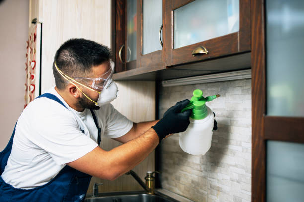 Best Cockroach Control Services  in Riverside, IL