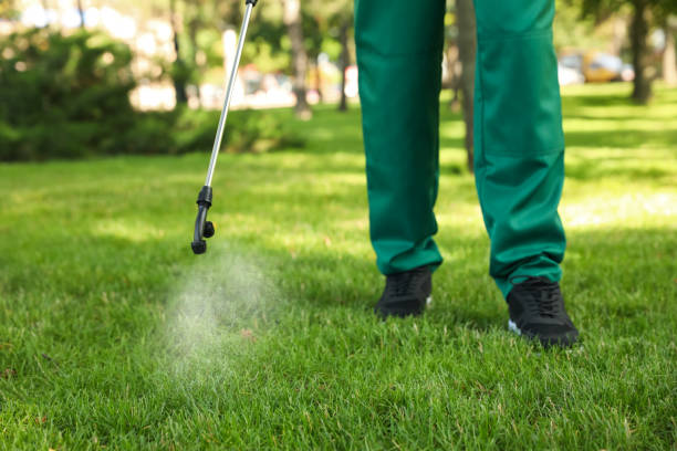 Best Affordable Pest Control Services  in Riverside, IL