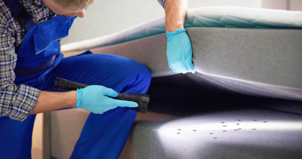 Best Ant Control Services  in Riverside, IL