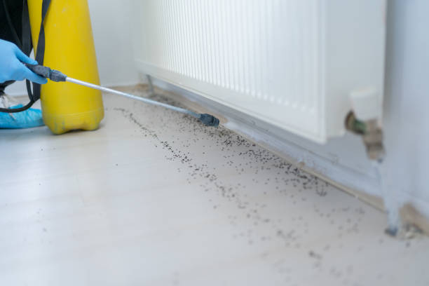 Best Insect Control  in Riverside, IL