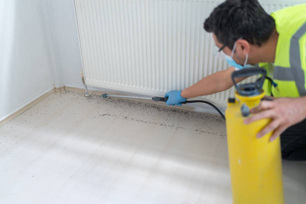 Best Rat Extermination Near Me  in Riverside, IL